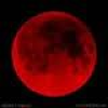 Crimson Moon: Releasing the Wolves