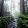 Fukachi Forest