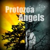 Protozoa Angels: The Beginning of Mourning
