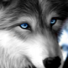 Character Portrait: Wolfy