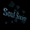 The Soul Society