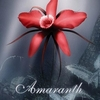 The New Mage Guild: Amaranth