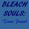 Bleach Souls: Times Passed
