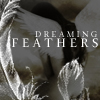 Dreaming Feathers