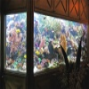 Strata City Aquarium