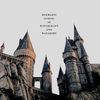 Hogwarts: The Forgotten Prophecy