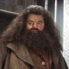Character Portrait: Rubeus Hagrid
