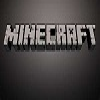 Minecraft: a matter of survival