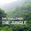 The Challenge: The Jungle