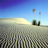 Sandwraith Desert