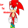Character Portrait: Chip The Hedgehog