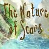 The Nature of Scars
