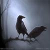 Character Portrait: The Raven