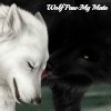 Wolf Paw: My Mate